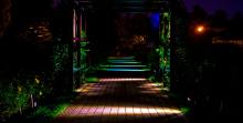 How to introduce atmospheric lighting to your Garden