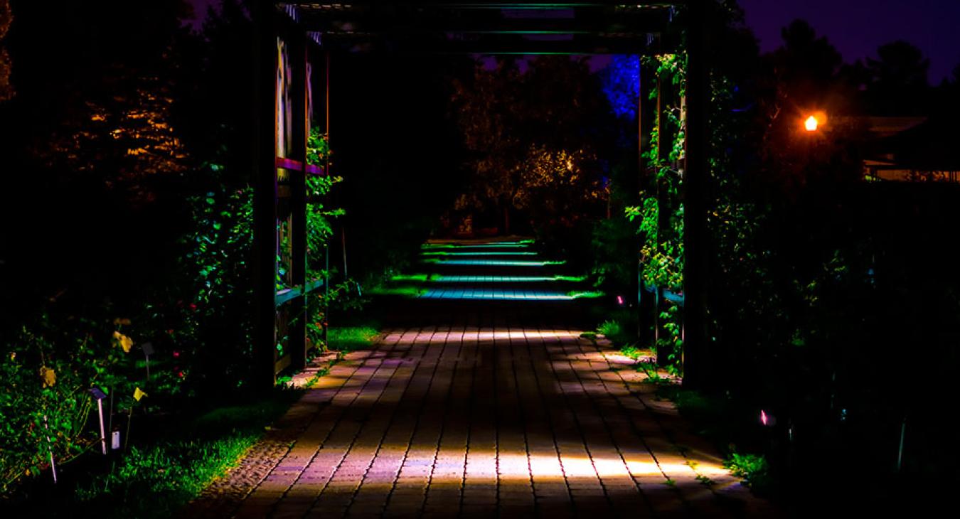 How to introduce atmospheric lighting to your Garden